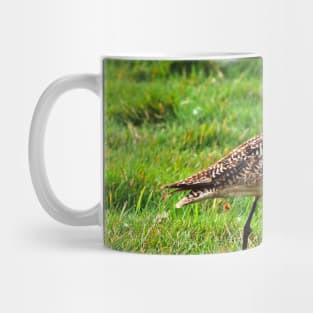 Marbled Godwit Standing Tall Mug